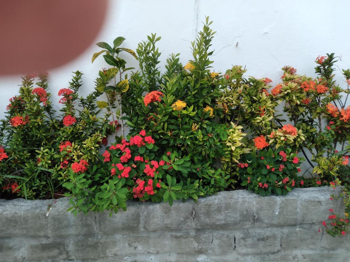 賓館 Terra De Minas 纳塔尔